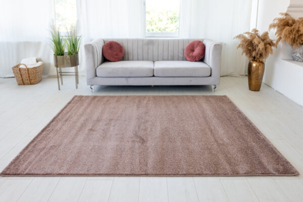 Modern szőnyeg Alina 1111 (Camel) 160x220cm Camel Barna