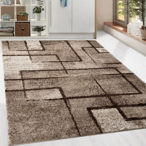 Modern szőnyeg Nara 6035 (Beige) 120x170cm Bézs
