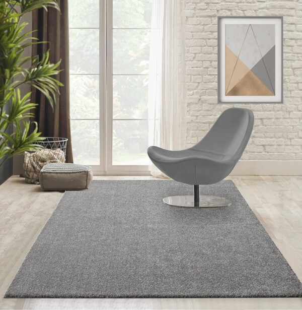 Modern szőnyeg Darwin (Grey) 80x150cm Szürke