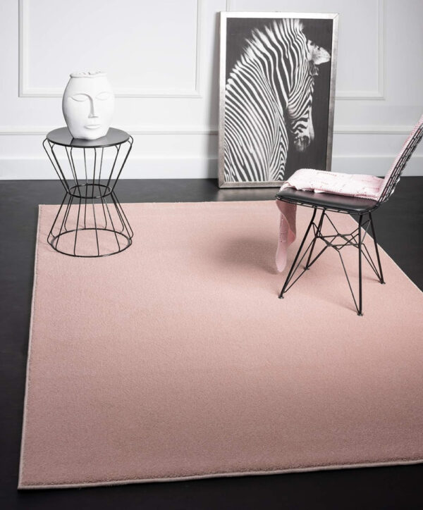 Modern szőnyeg Darwin (Pink) 80x150cm Púder